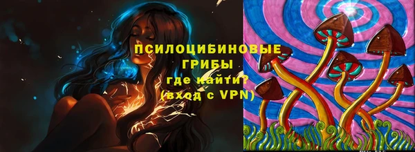 дмт Алексин