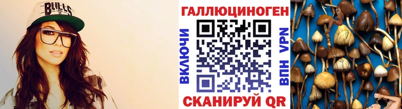 гидра   Михайловск  Псилоцибиновые грибы GOLDEN TEACHER 